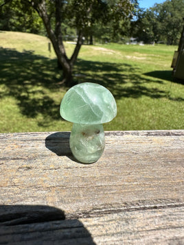 Fluorite Mushroom Carving #24