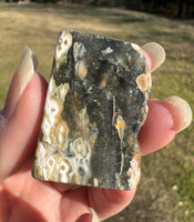 8th Vein Ocean Jasper Polished Free Form #10