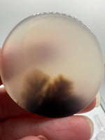 Designer Dendritic Agate Cabochon #7