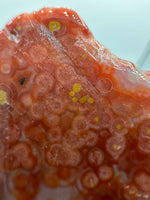 8th Vein Ocean Jasper Slab #56