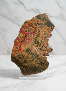 Gorgeous 8th Vein Ocean Jasper Slab #1