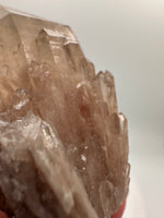 Natural Citrine Cathedral Crystal, Congo, Lightbrary #7