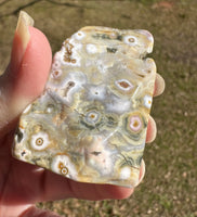 8th Vein Ocean Jasper Polished Free Form #4