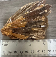 Natural Amber Calcite Raw Specimen UV Reactive #12