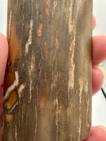 Woolly Mammoth Ivory, Pleistocene, Siberia, Russia