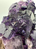 Dark Purple Fluorite Specimen – Melchor Muzquiz, Coahuila, Mexico