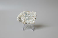 6th Vein Ocean Jasper Polished Freeform #11