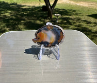 Agate Slice #35