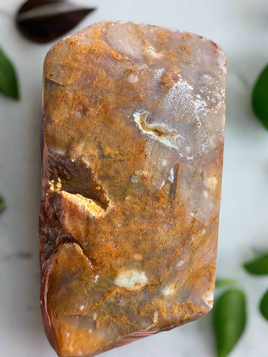 Savannah River Agate Specimen 1d