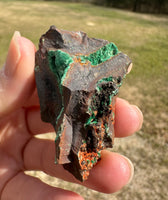 Conichalcite, 0juela, Mapimi, Durango, Mexico