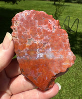 8th Vein Ocean Jasper Slab #56