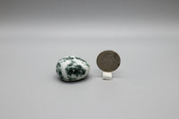 Tree Agate Tumble