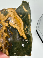 8th Vein Ocean Jasper Slab #135