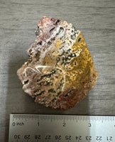 8th Vein Ocean Jasper Slab #40