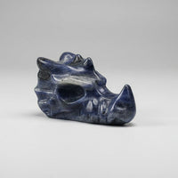 Sodalite Dragon Head