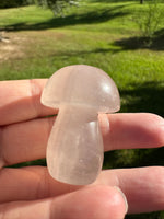 Colorful Fluorite Mushroom Carving #9