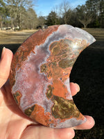 Money Agate Carved Moon #1