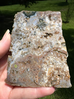 8th Vein Ocean Jasper Slab #97