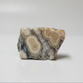 6th Vein Ocean Jasper Polished Freeform #46