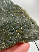 8th Vein Ocean Jasper Slab #9