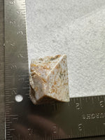 Ocean Jasper Free-form #13