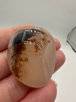 Designer Dendritic Agate Cabochon #6