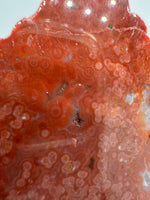 8th Vein Ocean Jasper Slab #56