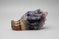 Fluorite Dragon Head Carving #10
