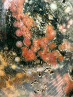 8th Vein Ocean Jasper Slab #46
