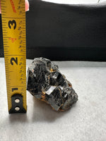 Uvite, Powers Farm, Pierrepont, New York