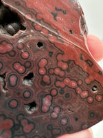 8th Vein Ocean Jasper Slab #64