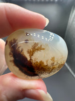 Designer Dendritic Agate Cabochon #6