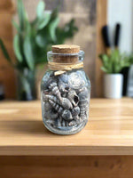 Glass Jar with Shells #3