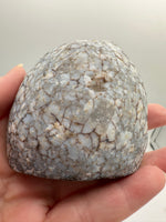 Polished Front Agate Geode #1
