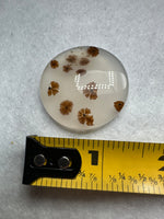 Scenic Dendritic Agate Cabochon #8