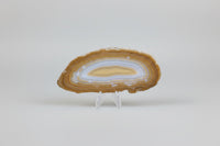 Agate Slice #18