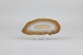 Agate Slice #18