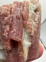 Tourmaline var Rubellite Minas Gerais, Brazil