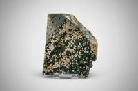 8th Vein Ocean Jasper Slab #22