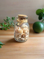 Glass Jar with Shells #5