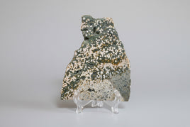 8th Vein Ocean Jasper Slab #101