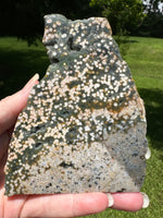 8th Vein Ocean Jasper Slab #101