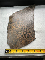 Nevada Picture Jasper Slab #2 - Old Stock