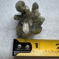 Chlorite Included Himalaya Quartz Cluster from Pakistan #2