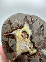 Septarian Nodule, Calcite, Muddy Creek, Orderville, Kane Co. UT UV Reactive #1