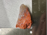 8th Vein Ocean Jasper Slab #121