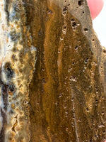 8th Vein Ocean Jasper Slab #15