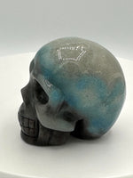 Unique Trolleite Skull #2