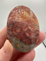 Money Agate Palm Stone #2