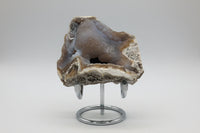Withlacoochee River Agatized Coral #3